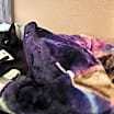 Thumbnail photo of Zipper "Midnight" 4274 #1