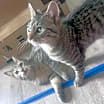 Thumbnail photo of Thelma and Louise #1