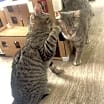 Thumbnail photo of Thelma and Louise #2