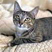 Thumbnail photo of Tonette #2