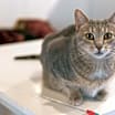 Thumbnail photo of Gigi #2