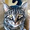 Thumbnail photo of Tyrone #1