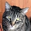 Thumbnail photo of Tyrone #2