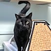 Thumbnail photo of Jeff #1