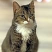 Thumbnail photo of Little One #1