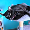Thumbnail photo of Stella (Elly) #1