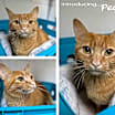Thumbnail photo of Peanut #2