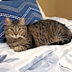 Thumbnail photo of Imogen #1
