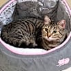 Thumbnail photo of Imogen #2