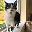 Thumbnail photo of Coco #4