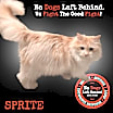 Thumbnail photo of Sprite 9340 #1