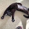 Thumbnail photo of Holly #1