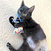 Thumbnail photo of Holly #2