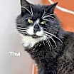 Thumbnail photo of Tina and Bebe #3
