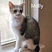 Thumbnail photo of Molly #snugglicious #2