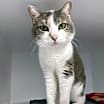 Thumbnail photo of Kiara #1