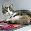 Thumbnail photo of Kiara #2