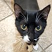 Thumbnail photo of Socks #1