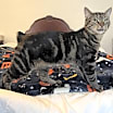 Thumbnail photo of Eilish #3