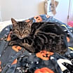 Thumbnail photo of Eilish #4