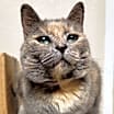 Thumbnail photo of Luna #2