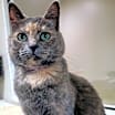 Thumbnail photo of Luna #3