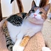 Thumbnail photo of Marie #4
