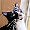 Thumbnail photo of Luz #1