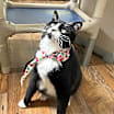 Thumbnail photo of Luz #2