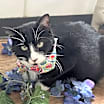 Thumbnail photo of Luz #4