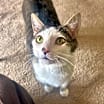 Thumbnail photo of Holly #1