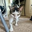 Thumbnail photo of Holly #3