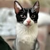 Thumbnail photo of Christine #3