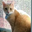 Thumbnail photo of Winslow #2