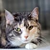 Thumbnail photo of Lilli #1
