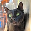 Thumbnail photo of Jasmine #3