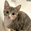 Thumbnail photo of Eloise #3