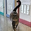 Thumbnail photo of Theodore #1