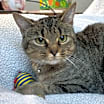Thumbnail photo of Darla #3