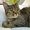 Thumbnail photo of Darla #4