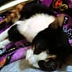 Thumbnail photo of Doja #3
