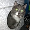 Thumbnail photo of Gracie II #4