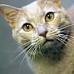 Thumbnail photo of Phyllis #4