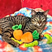Thumbnail photo of Peas N Carrots #1
