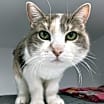 Thumbnail photo of Kiara #3