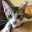 Thumbnail photo of Sweet Pea #2