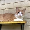 Thumbnail photo of Gunther #2