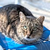 Thumbnail photo of Valda #3