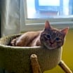 Thumbnail photo of Fozzie #3