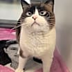Thumbnail photo of Juniper (real name) 705606 #2
